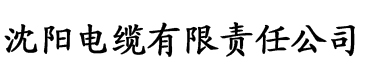 第一精品福利官方导航电缆厂logo